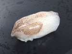 ベイカの握り