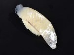 ホシザヨリの握り