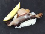 ヒメシャコの握り