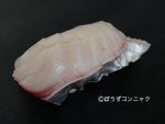 ヨコシマサワラの銀皮造り