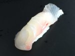 マダラタルミの握り