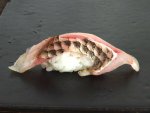 シマアオダイの焼霜造り