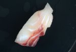 ソコクロダラの昆布締め握り