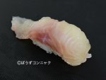 ナマズの握り