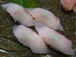 アカメ