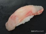 シロチョウザメの握り