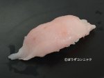 ボウズギンポの握り