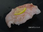 ボウズギンポの直あぶり