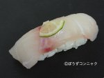 アカアマダイ活け締め握り