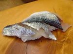 ホソトビウオ