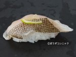 アイナメの焼霜造り