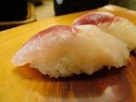 本がます／アカカマス
