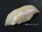 ソコカナガシラの握り