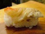 千島貝／チシマガイ