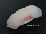タテスジハタ握り
