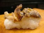 八代貝／ヤツシロガイ