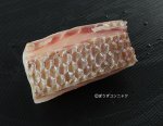 タイワンダイの皮霜造り