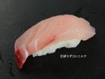 ヒレナガカンパチの握り