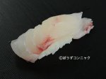ホウセキハタモドキの握り