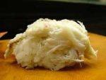 がざみ／タイワンガザミ