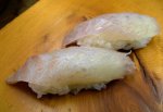 冬アイゴの握り