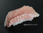 オオクチハマダイの皮霜造り