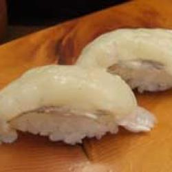 402貫目 真河豚 マフグ Web寿司図鑑