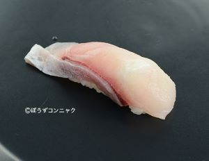 ハチジョウアカムツ 魚類 市場魚貝類図鑑