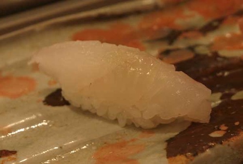 松江市内『大鯛寿司』の十二かん、その二黄かな／アオハタ