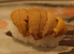 松江市内『大鯛寿司』の十二かん、その十一赤海胆／アカウニ