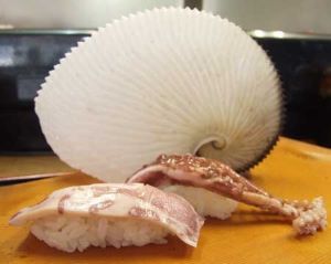 アオイガイ | 軟体 | 市場魚貝類図鑑