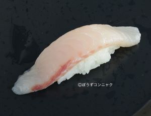オキアジ 魚類 市場魚貝類図鑑 オキアジ 魚類 市場魚貝類図鑑