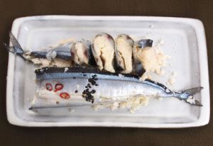 サンマ 魚類 市場魚貝類図鑑