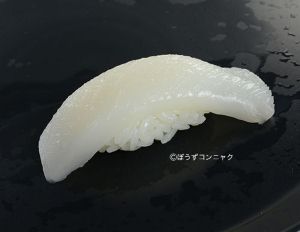 ヤリイカ 軟体 市場魚貝類図鑑