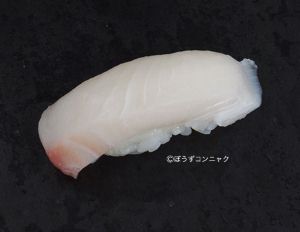 マナガツオ 魚類 市場魚貝類図鑑