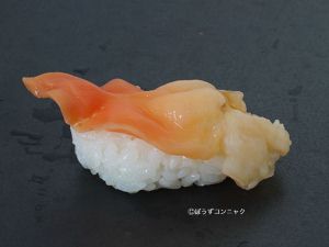 バカガイ アオヤギ 市場魚貝類図鑑