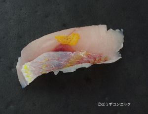 ソコイトヨリ 魚類 市場魚貝類図鑑