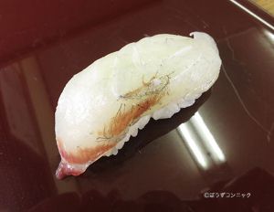 キチヌ キビレ 市場魚貝類図鑑