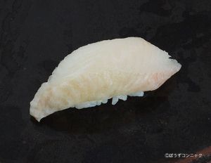 サメガレイ 魚類 市場魚貝類図鑑
