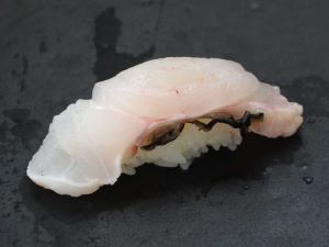 メガネモチノウオ ナポレオンフィッシュ 市場魚貝類図鑑