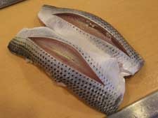 コノシロ コハダ 市場魚貝類図鑑