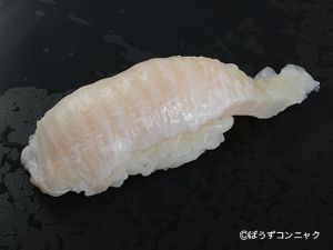 ホシガレイ 魚類 市場魚貝類図鑑