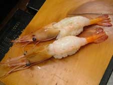 ボタンエビ 甲殻 市場魚貝類図鑑