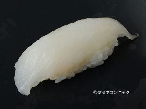 ムシガレイ 魚類 市場魚貝類図鑑